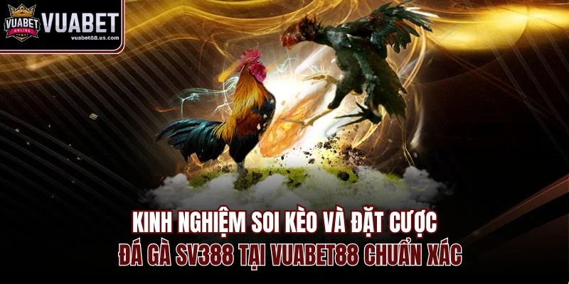 Kinh nghiệm soi kèo đá gà SV388 tại VUABET88 chuẩn xác nắm nguồn gốc